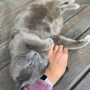 Meet your Posher, Hoda